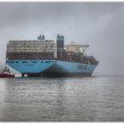 Mathilde Maersk (3)