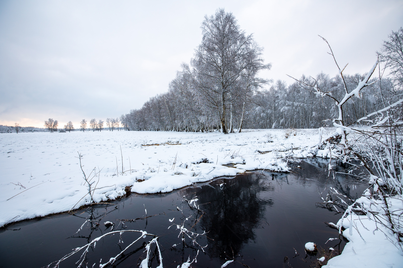 Mathildenhof, viel Wasser im Graben 