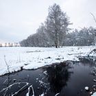 Mathildenhof, viel Wasser im Graben 