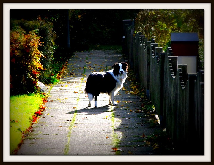 Matilda Herbsttag