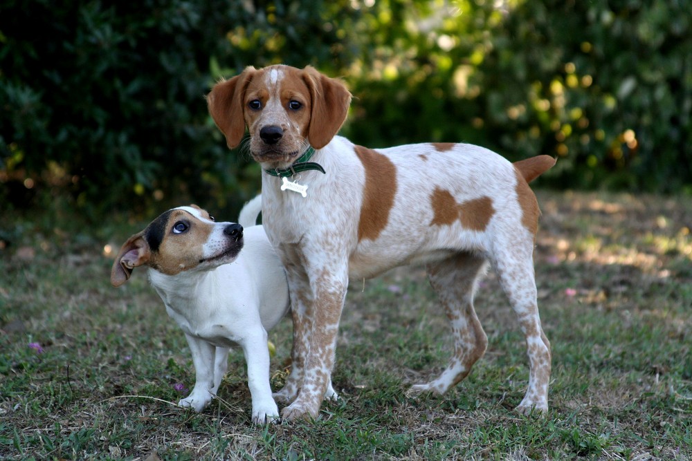 matilde e lilli