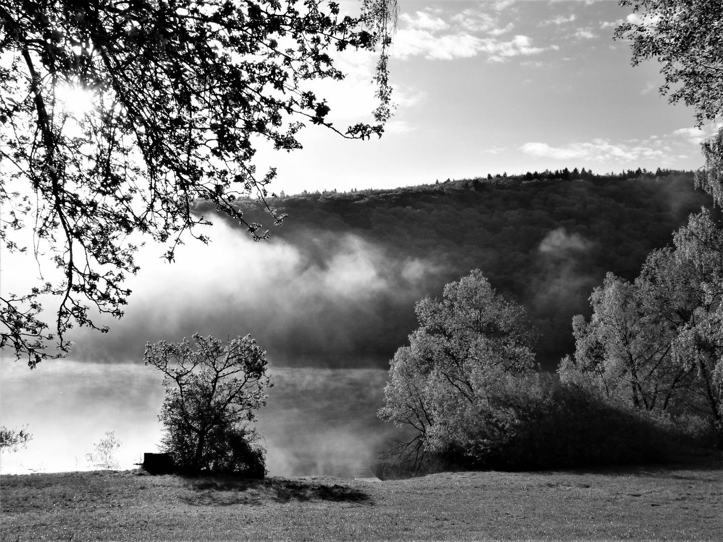 Matin photo et image paysages, lacs, rivières, cascades, nature