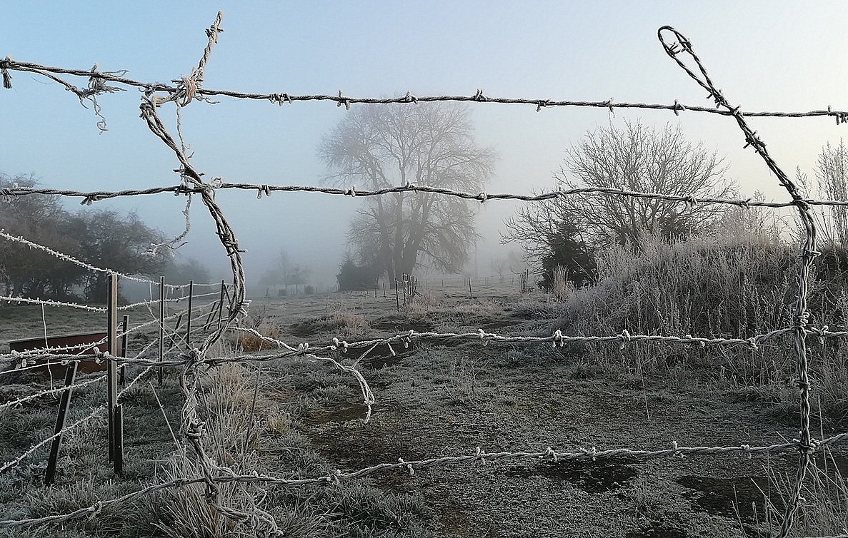 matin blanc