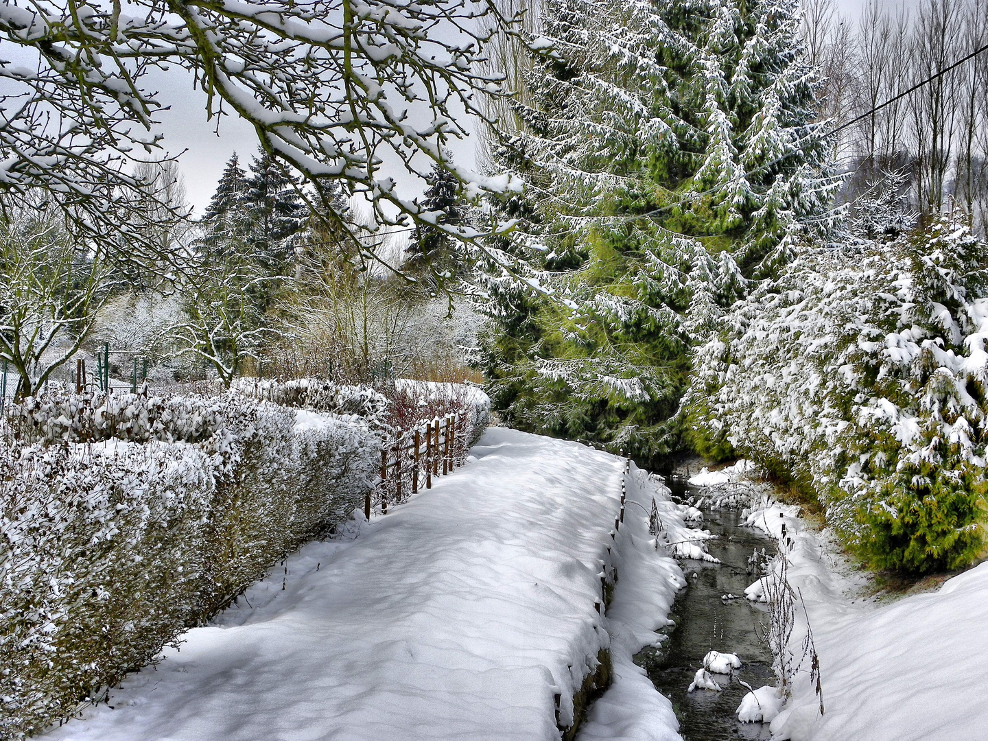 Matin blanc