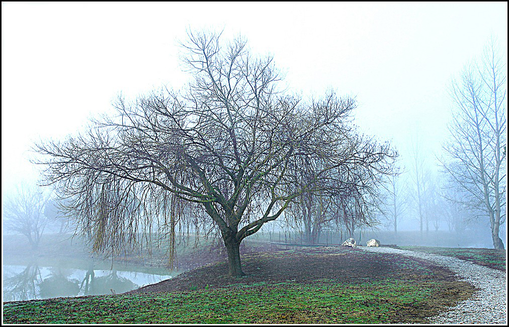 MATIN BRUMEUX