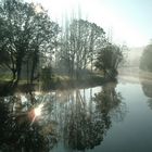 matin brumeux de novembre