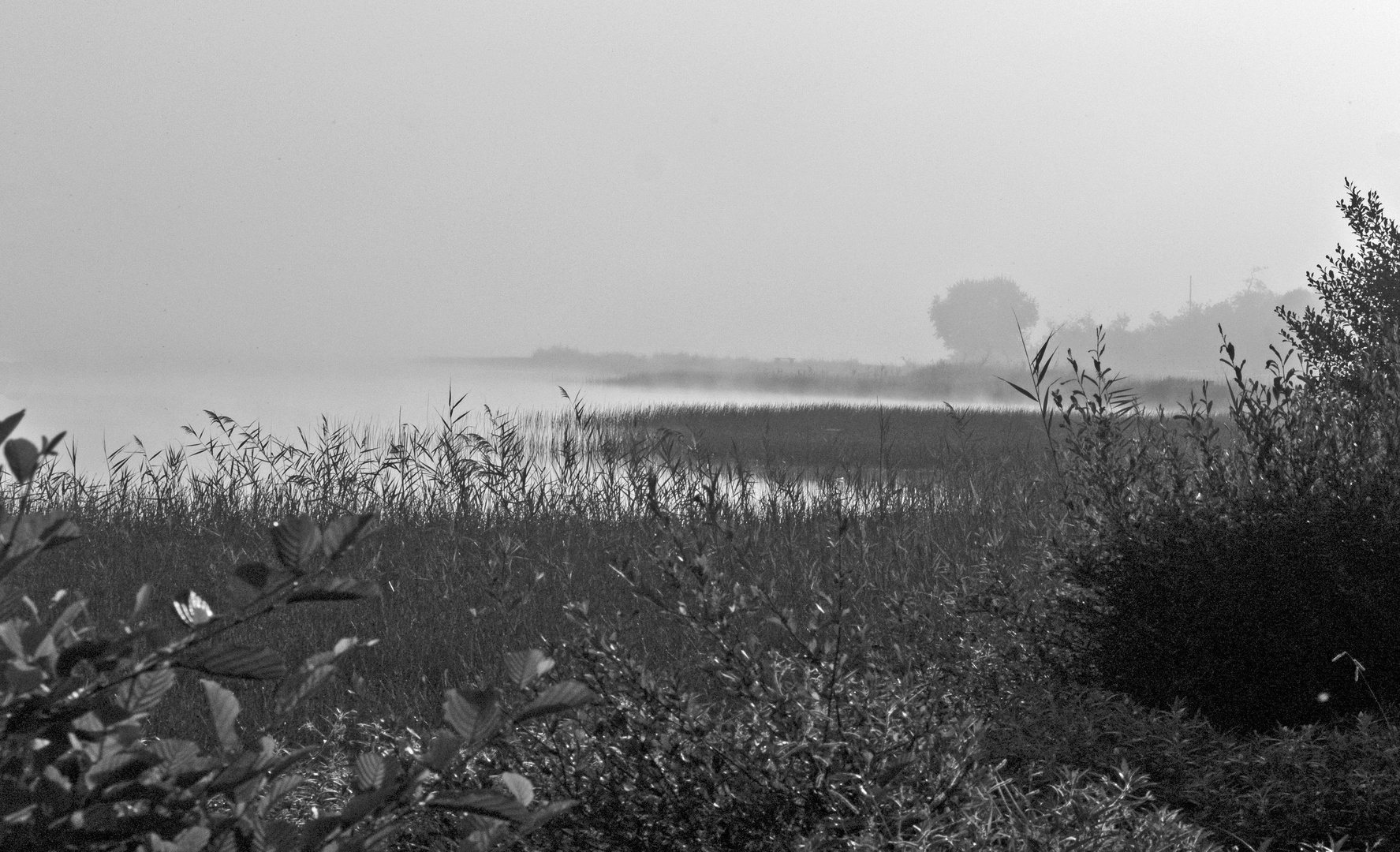 Matin brumeux sur le lac de Mimizan – Aureilhan