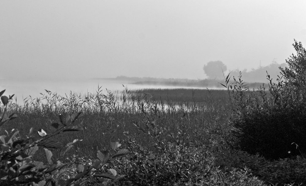 Matin brumeux sur le lac de Mimizan – Aureilhan