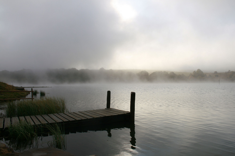 matin calme