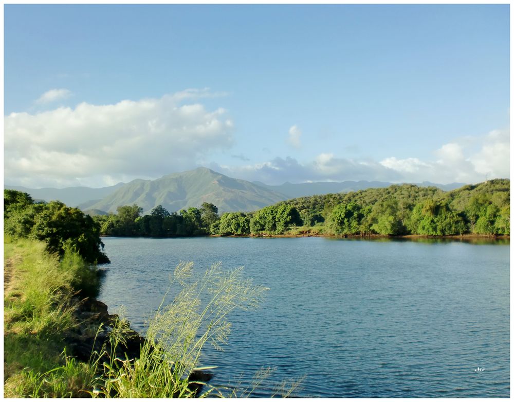 Matin calme à la rivière