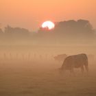 matin d automne