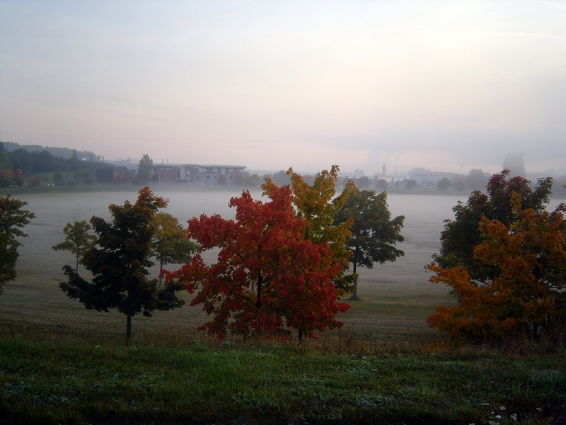 matin d'automne