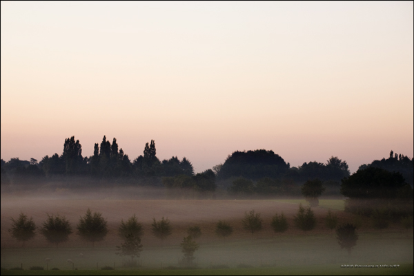 matin d'automne