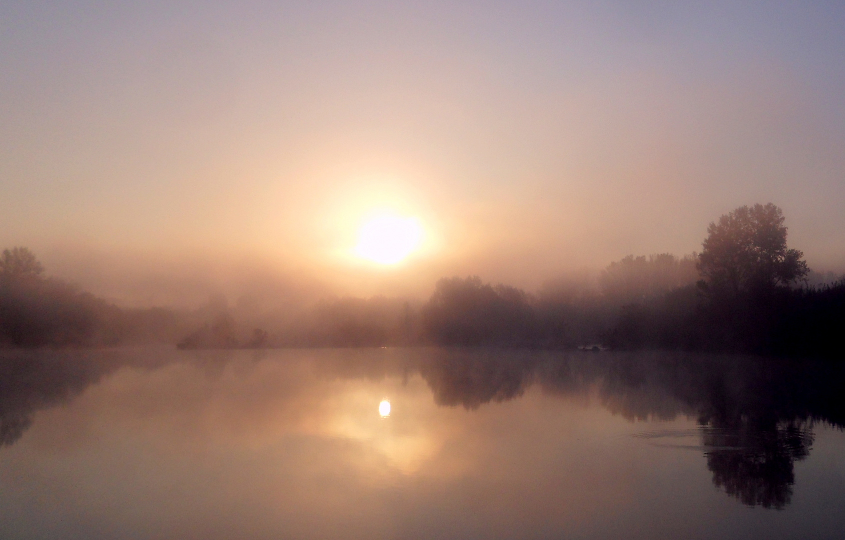 Matin d'automne ....