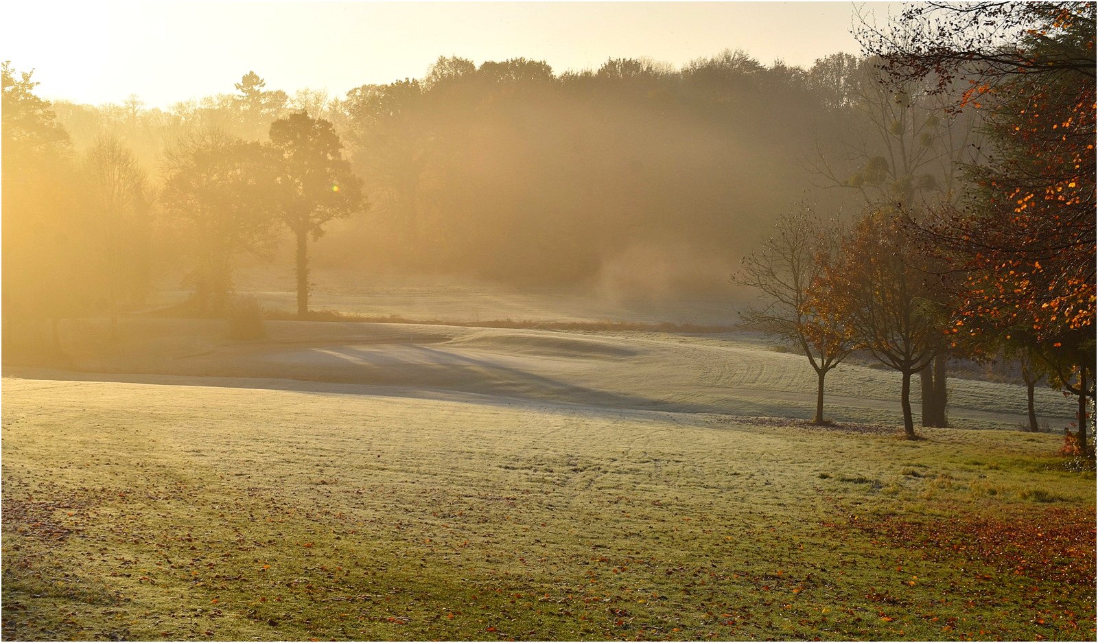 matin d'automne