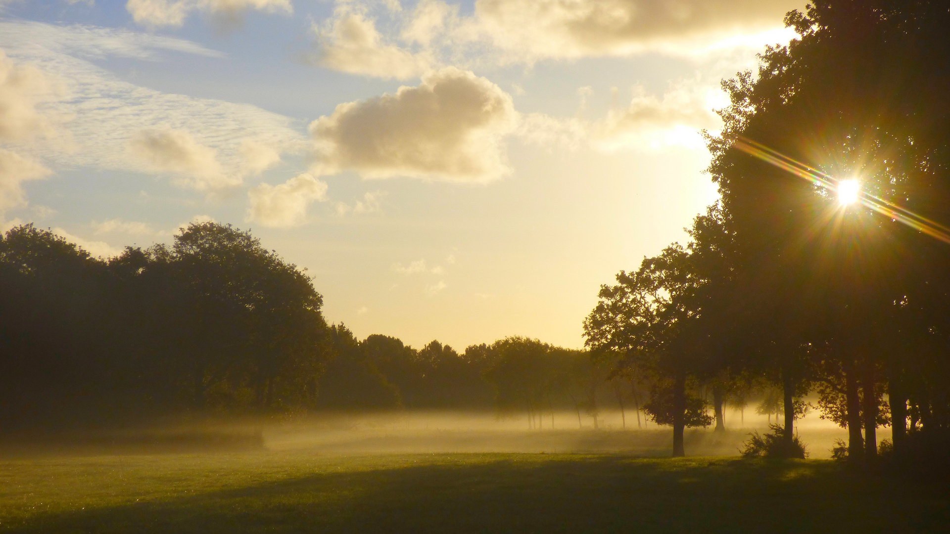 Matin d'automne