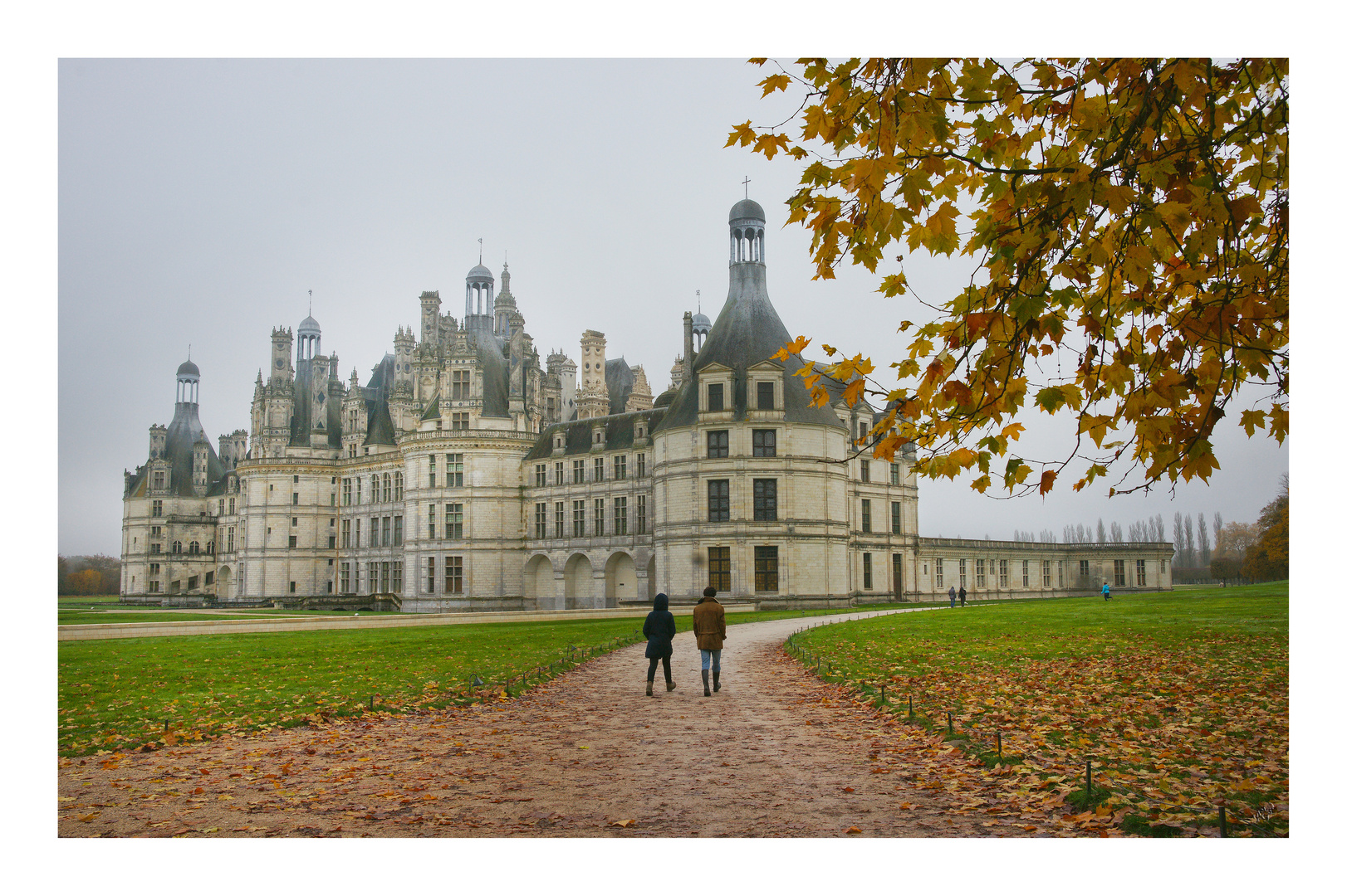 Matin d'automne à Chambord