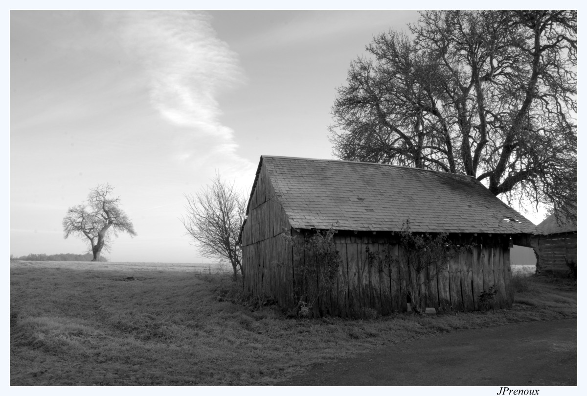 Matin d'automne