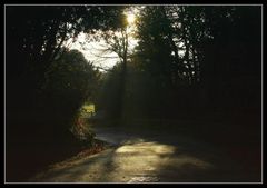 " Matin d'automne au bout de ma rue "