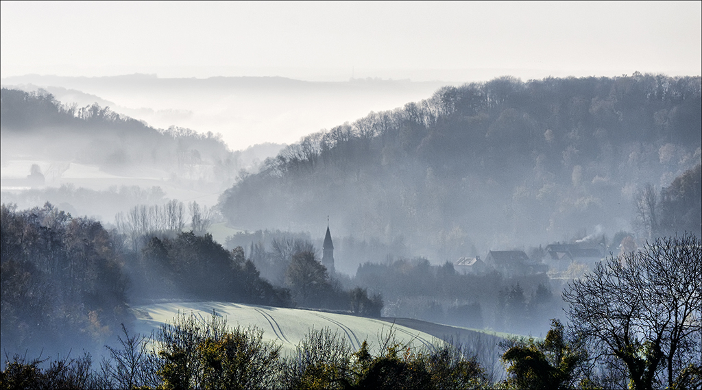 Matin d'automne