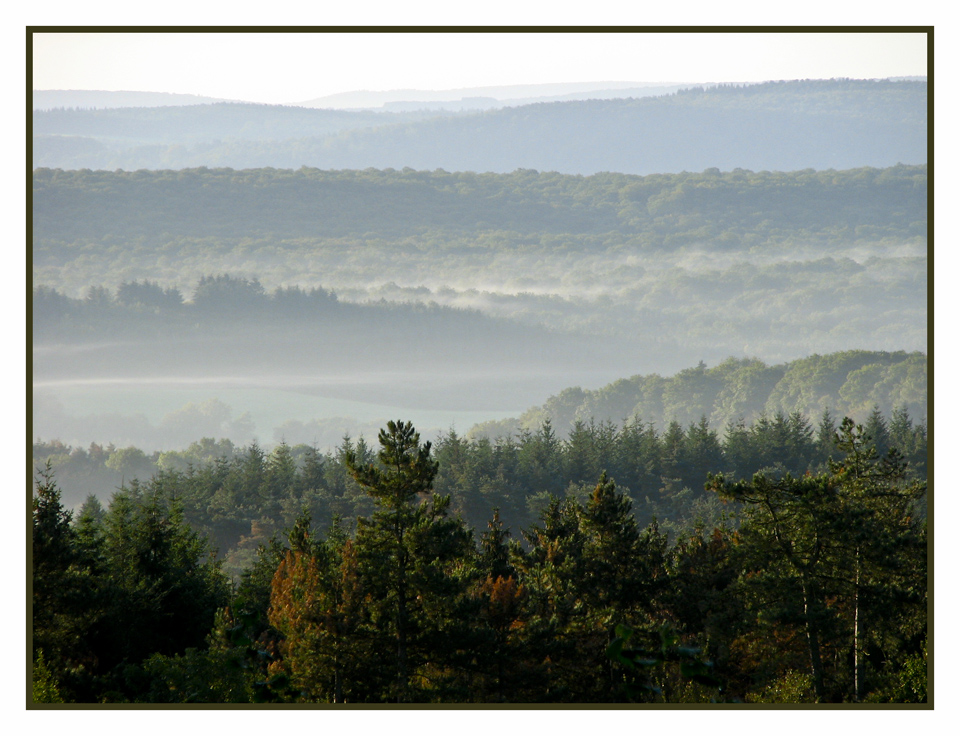 Matin d'automne