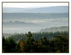 Matin d'automne