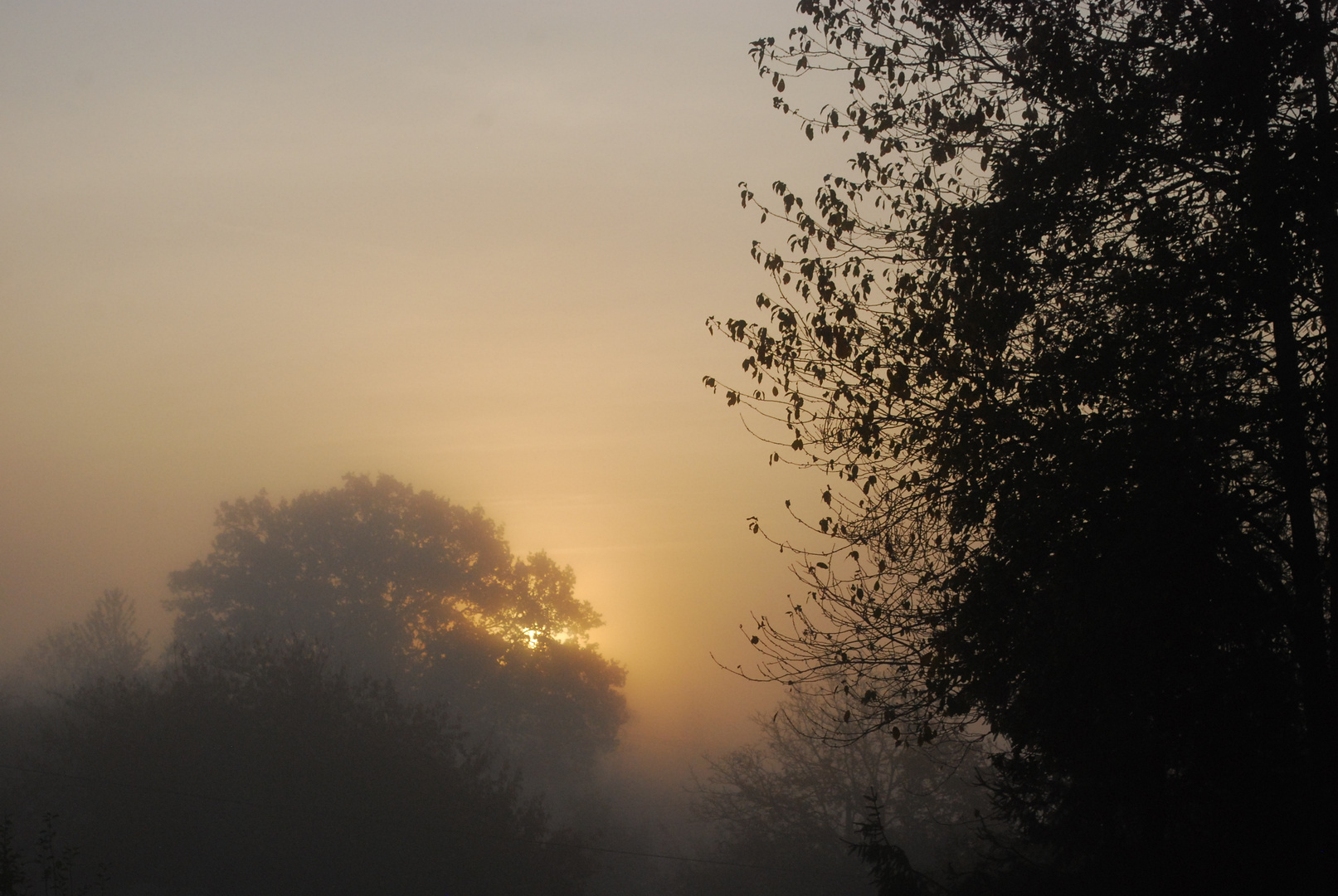 Matin d'automne brumeux