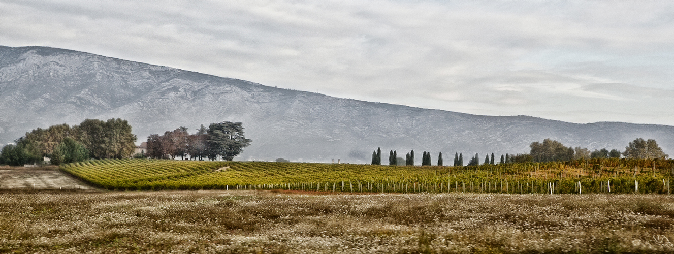 Matin d'automne en Provence