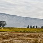 Matin d'automne en Provence