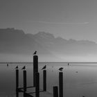 Matin d'automne - Lac d'Annecy