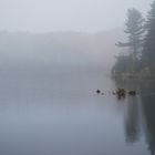 Matin d'automne sur le lac