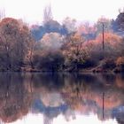 Matin d'automne sur le lac