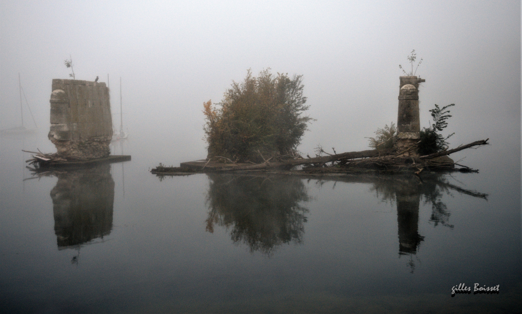 matin de brume sur la Seine