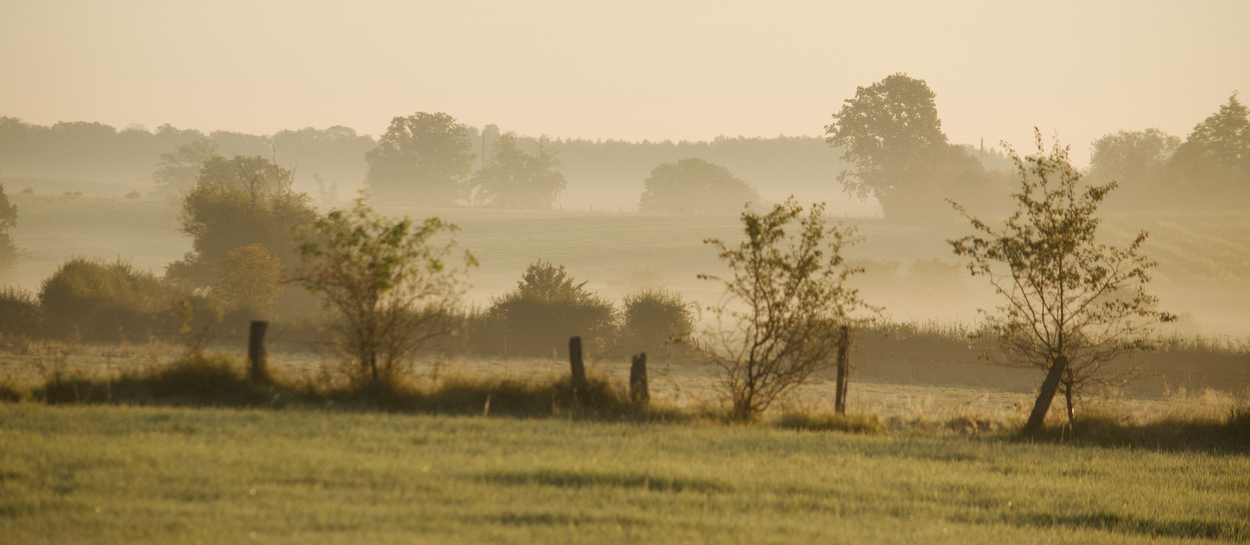 matin de Gaume