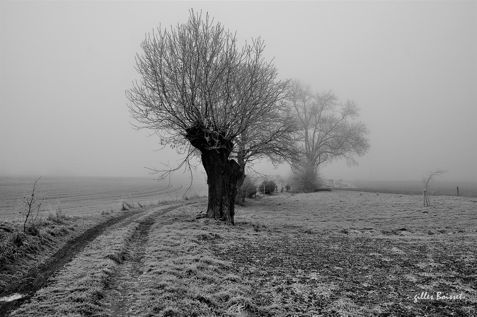 Matin de givre