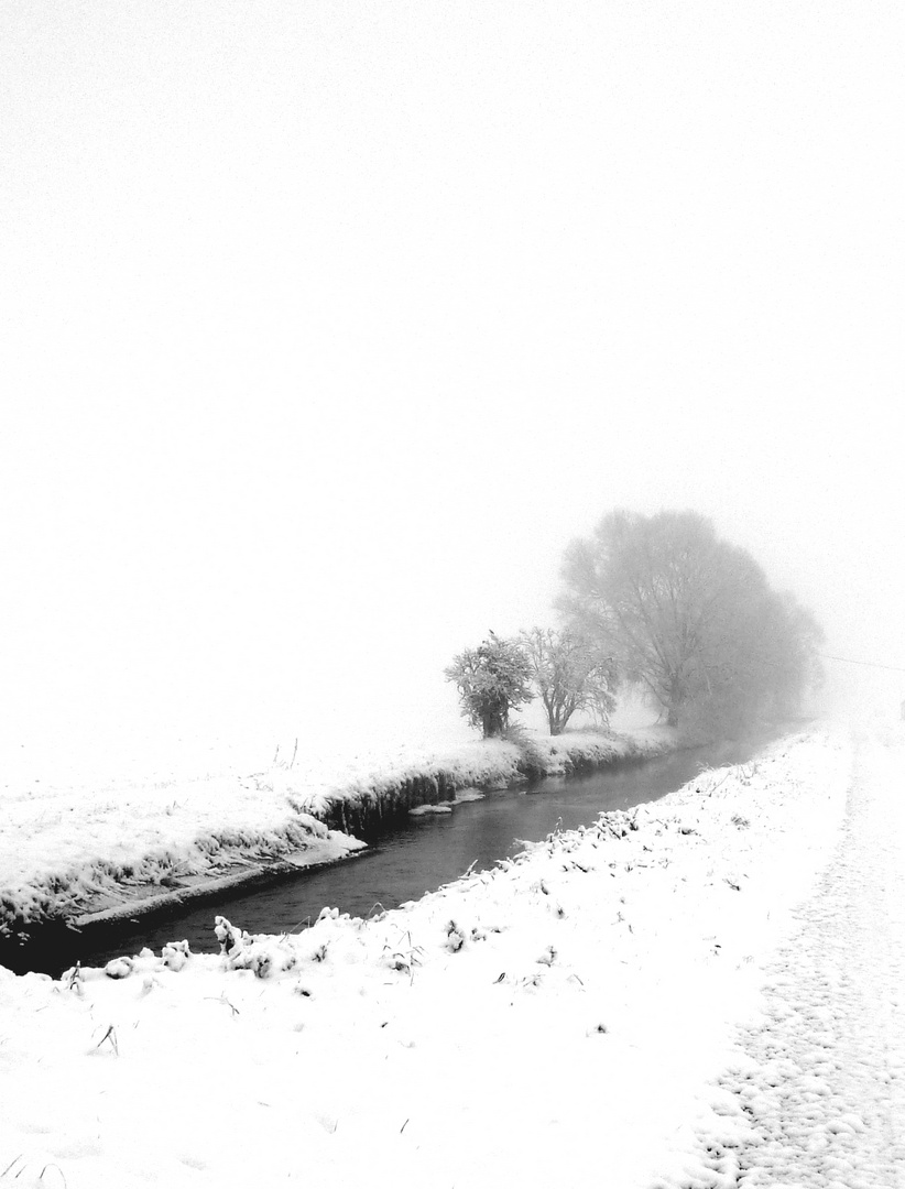 Matin de neige dans la plaine