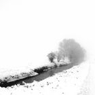 Matin de neige dans la plaine