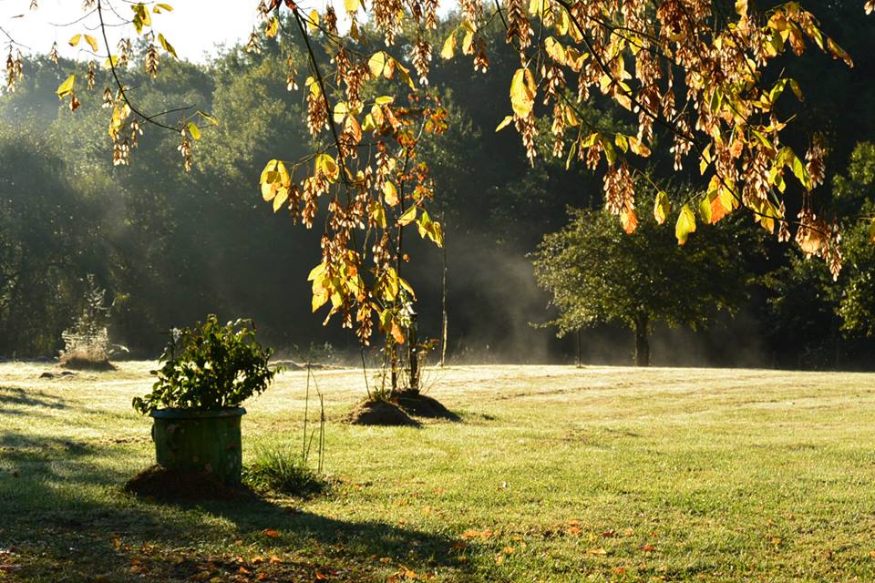 Matin de novembre