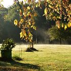 Matin de novembre