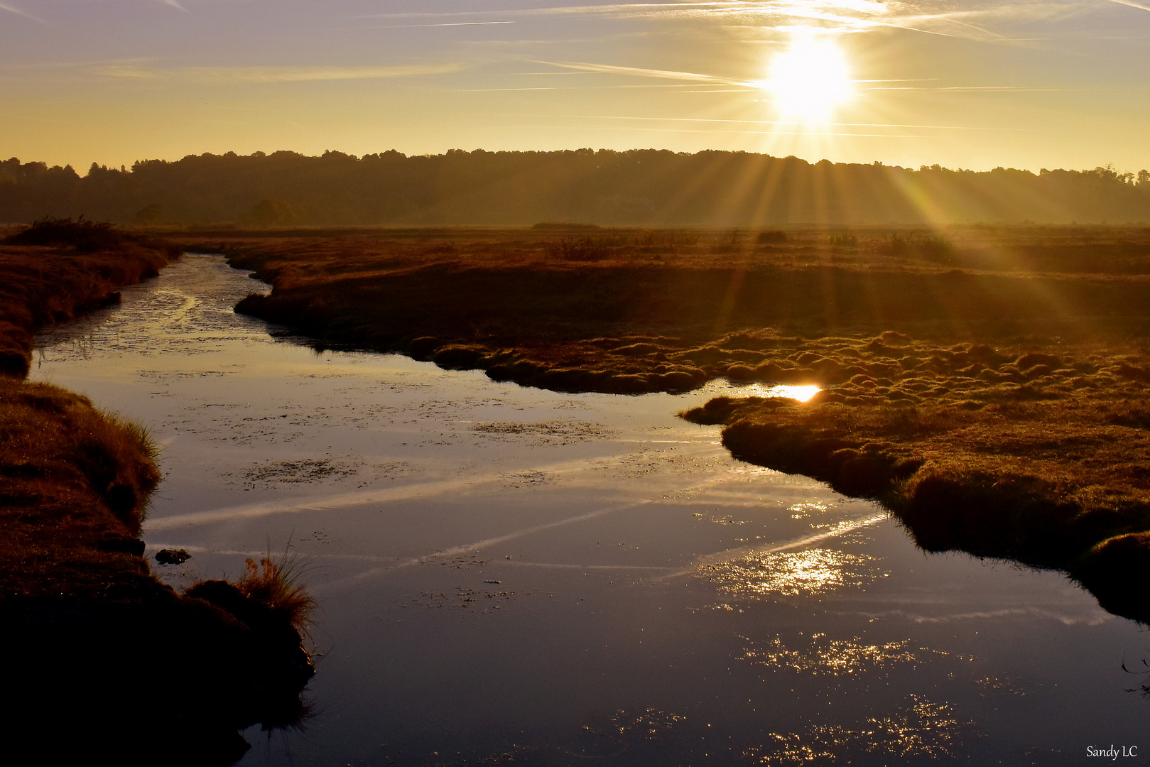 Matin de novembre