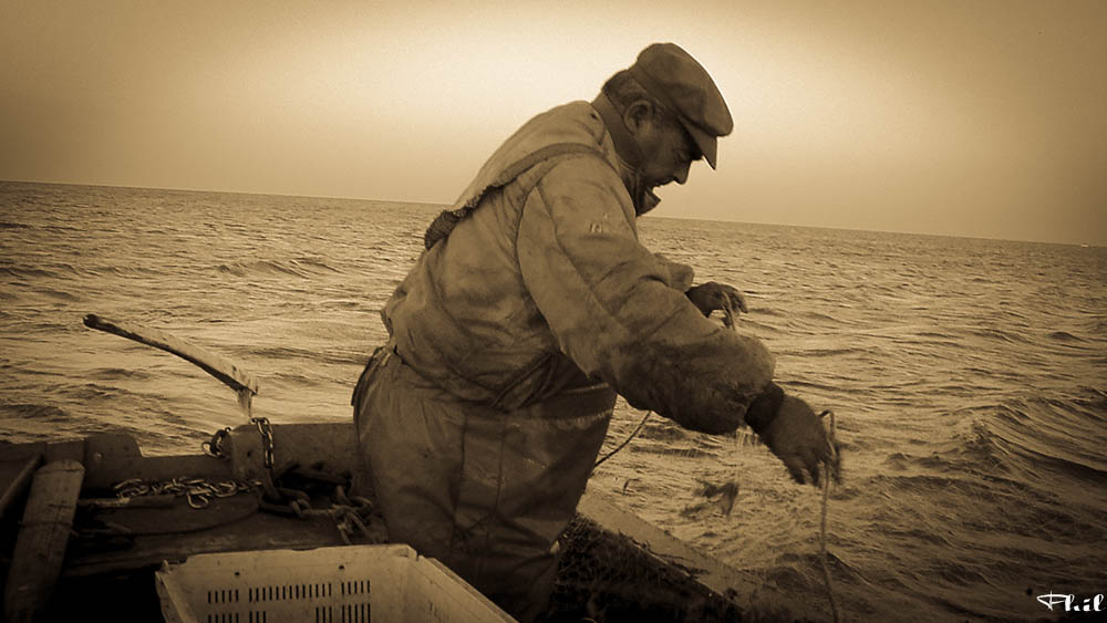 matin de pêche