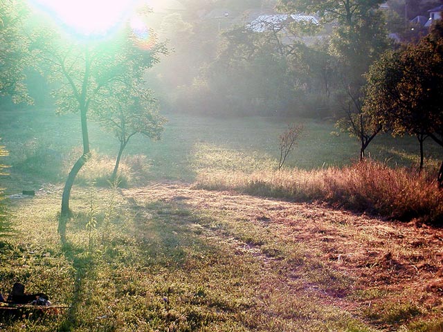 Matin de vacances (Morning holiday)