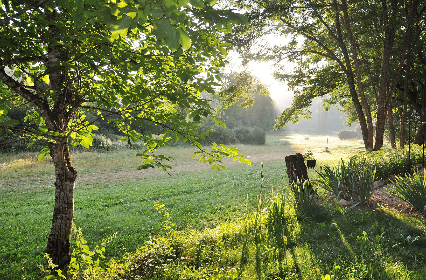 matin d'été en Dordogne