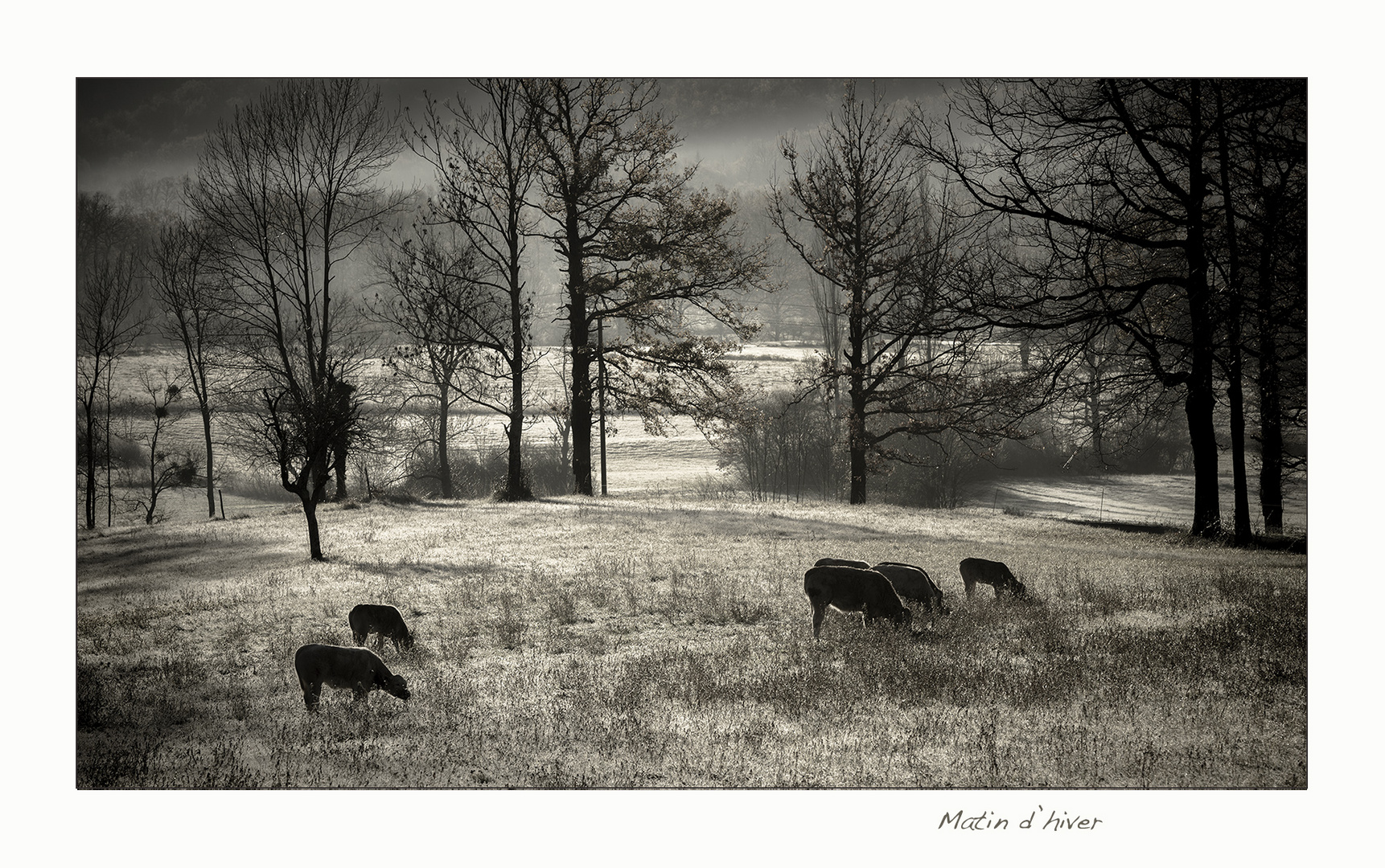 Matin d'hiver-02