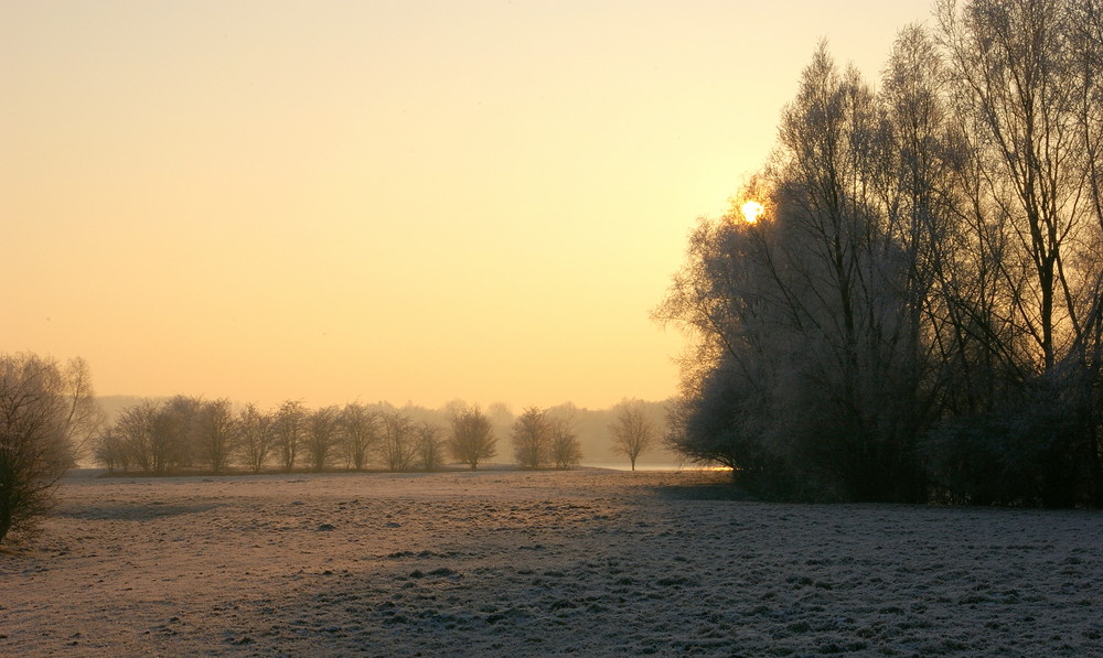 Matin d'hiver