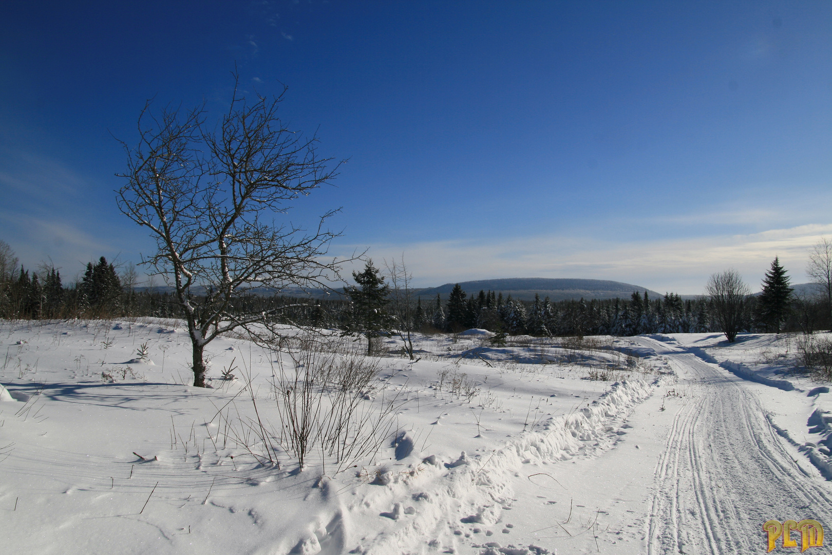 Matin d'hiver