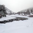 Matin d'hiver au bord de l'eau