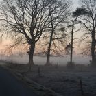 Matin d'hiver en bretagne sud