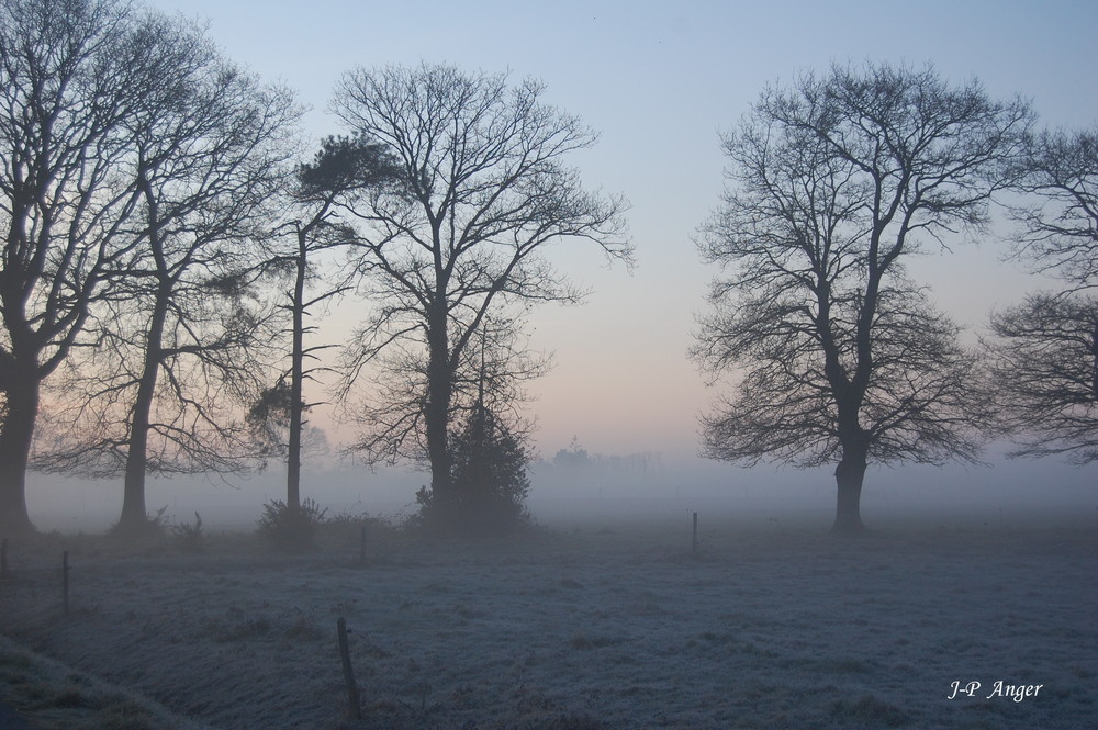 Matin d'hiver en bretagne sud