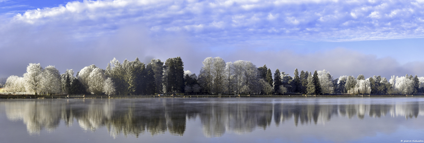 matin d'hiver